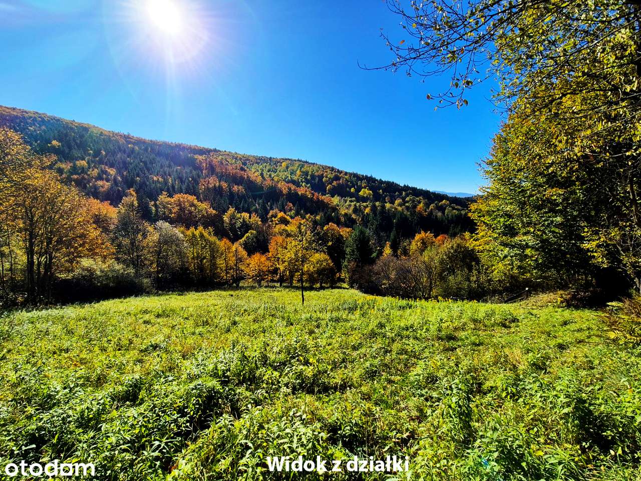 Widokowa działka z własnym lasem! - pod dom, domek weekendowy, domki-5