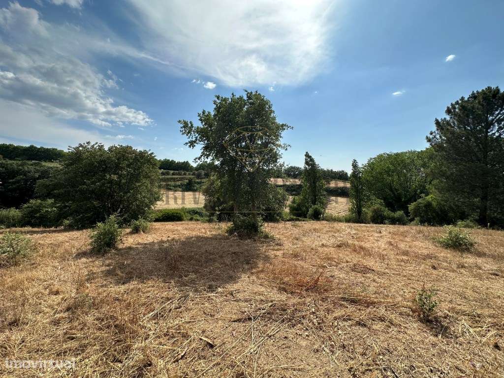 Terreno rustico com 11000m2 Não é permitida construção - Grande imagem: 2/23