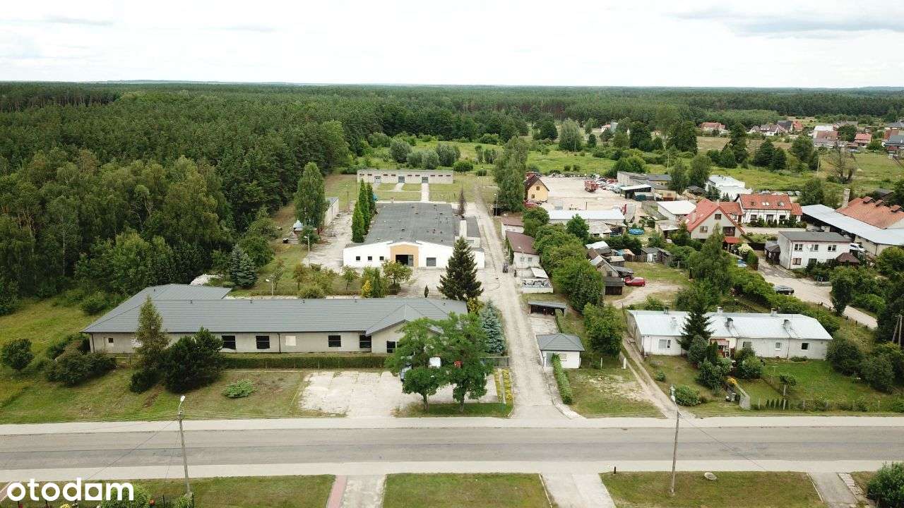 Nieruchomość z halą produkcyjno-magazynową - Pełny obrazek: 5/10