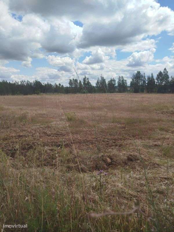 Terreno  para venda - Grande imagem: 5/6