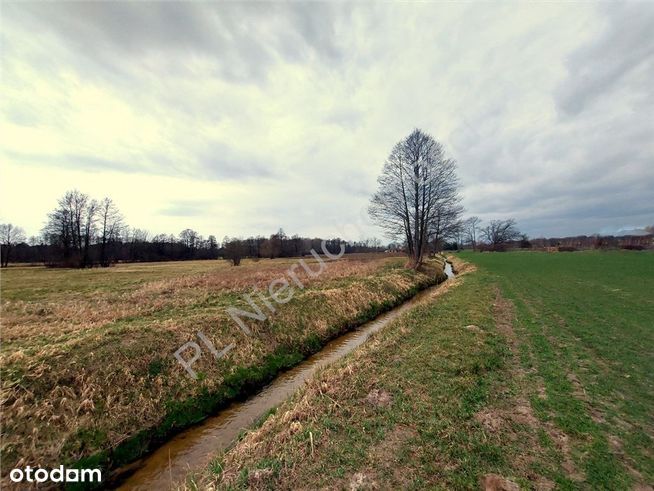 Działka Nad Rzeczką Na Której Wypoczniesz.