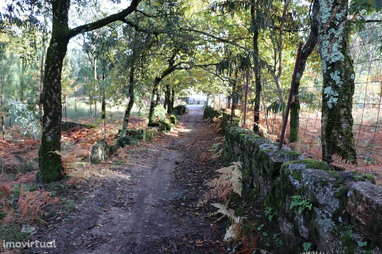 Terreno Para Construção  Venda em Lustosa e Barrosas (Santo Estêvão),L