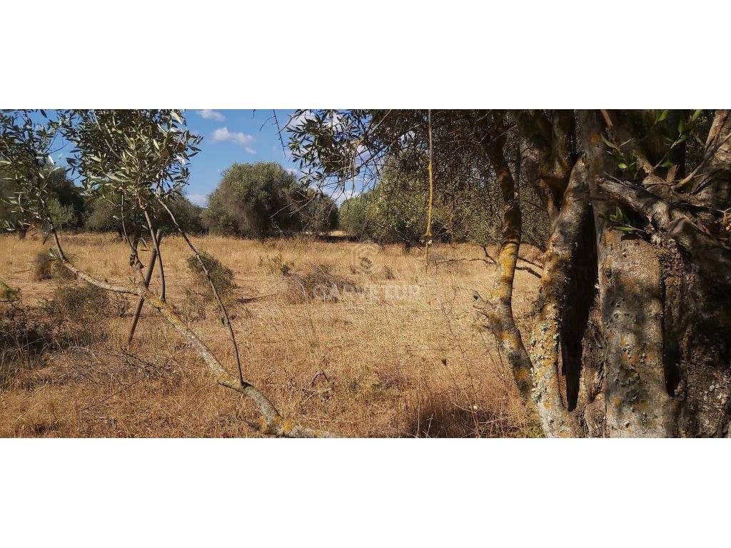 Terreno rústico, em zona agrícola, Amoreira, Paderne, Albufeira, Al... - Grande imagem: 3/18