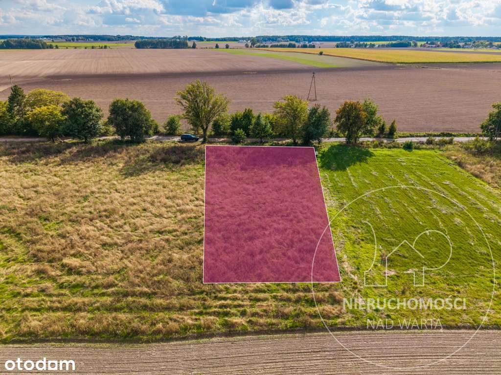 Działka budowlana w sąsiedztwie jez. Budziszewskie - Pełny obrazek: 5/7