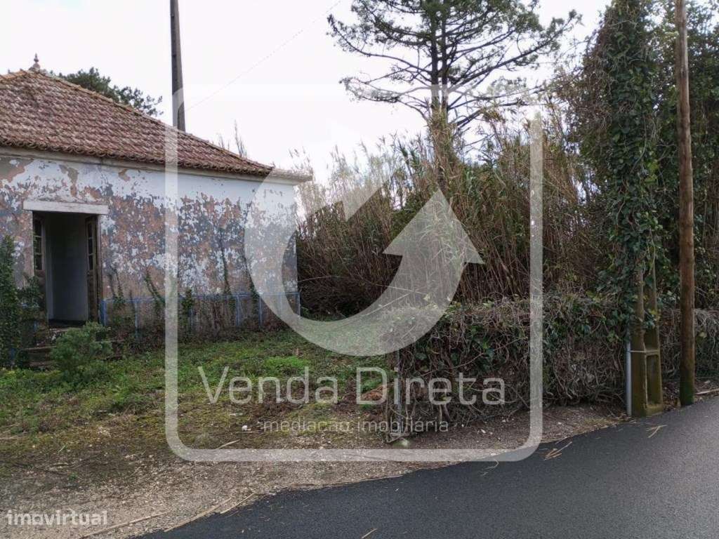 Quintinha com 2 Moradias Térreas | Sobreiro - Mafra - IMÓVEL DA BANCA - Grande imagem: 3/20