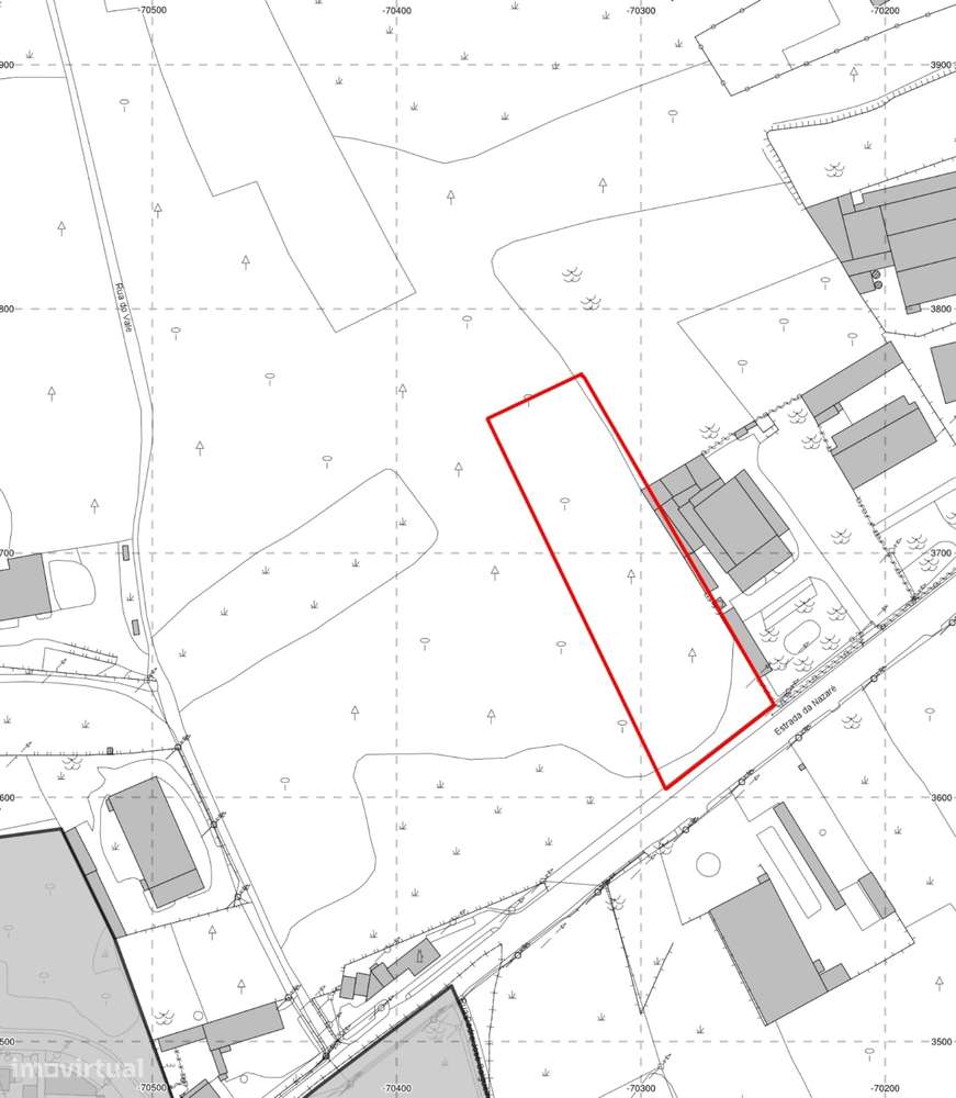 Terreno rústico de 7600m² de área, em Moita Marinha Grande-8