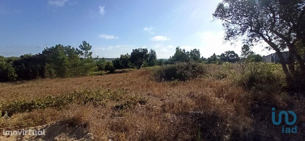 Terreno para construção em Santarém de 509,00 m2