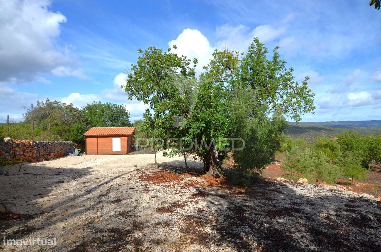 Terreno em Nave das Mealhas, Salir - Grande imagem: 2/38