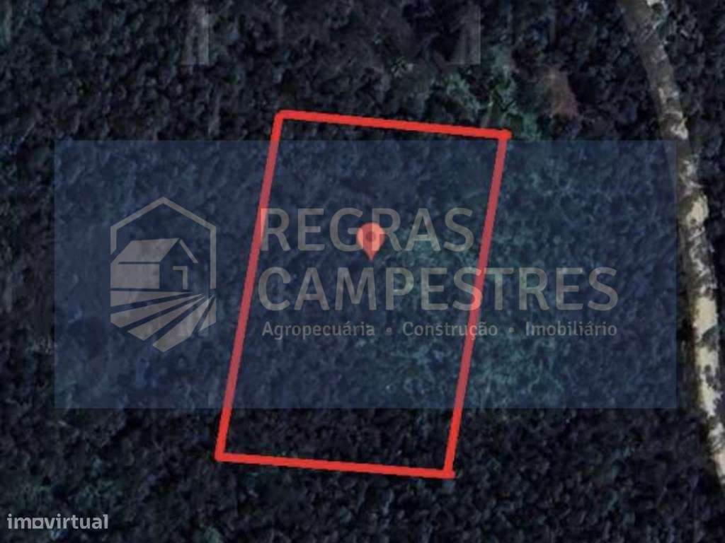 TERRENO RÚSTICO (FLORESTAL) - QUINHÃO HEREDITÁRIO
SANTO ANDRÉ - VI...-0