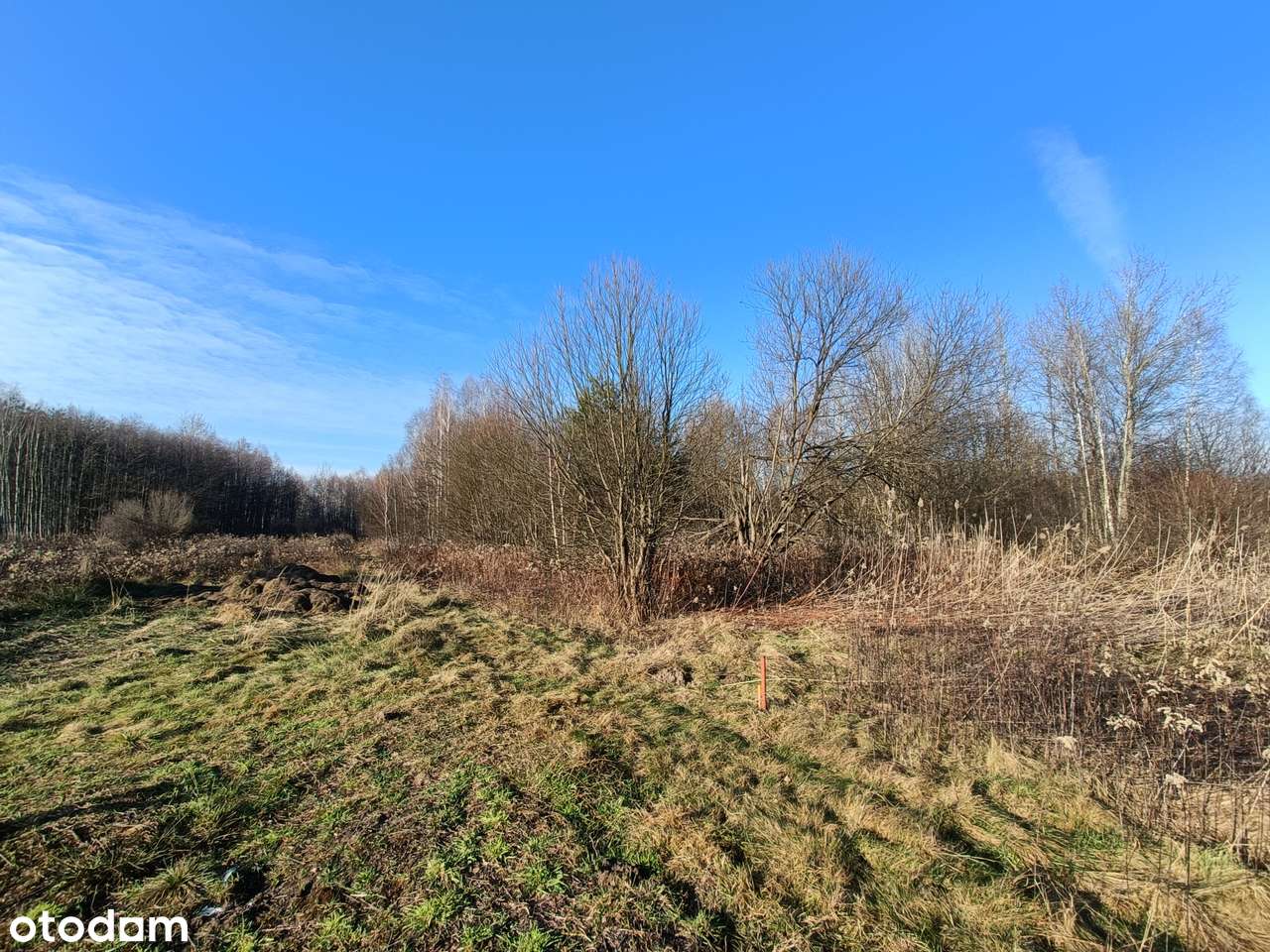 Działka w zielonym zakątku o powierzchni 45ar, Jasionka! - Pełny obrazek: 2/5