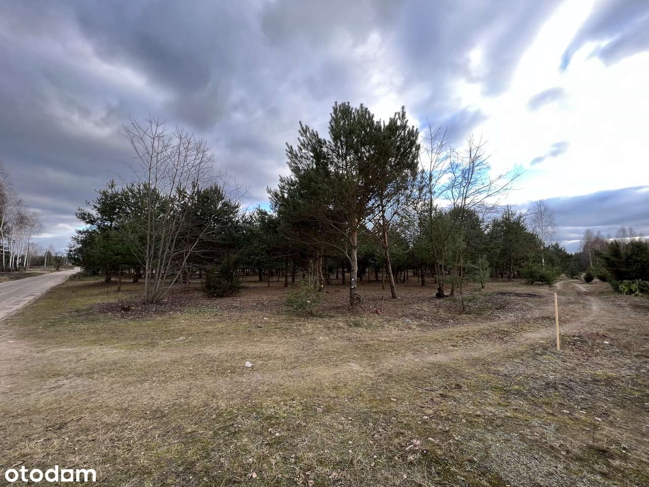 Działki budowlane pośród jezior i lasów-5