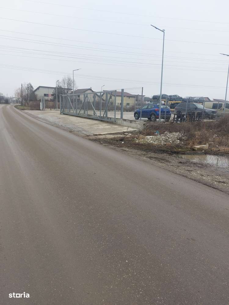 Clinceni - Olteni, Strada Fortului, Stradal-5