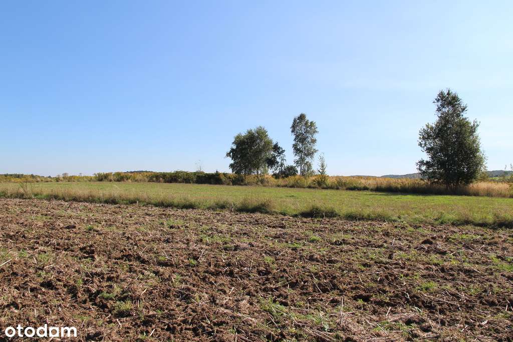 Działka budowlano - rolna przy Parku Ojcowskim-11