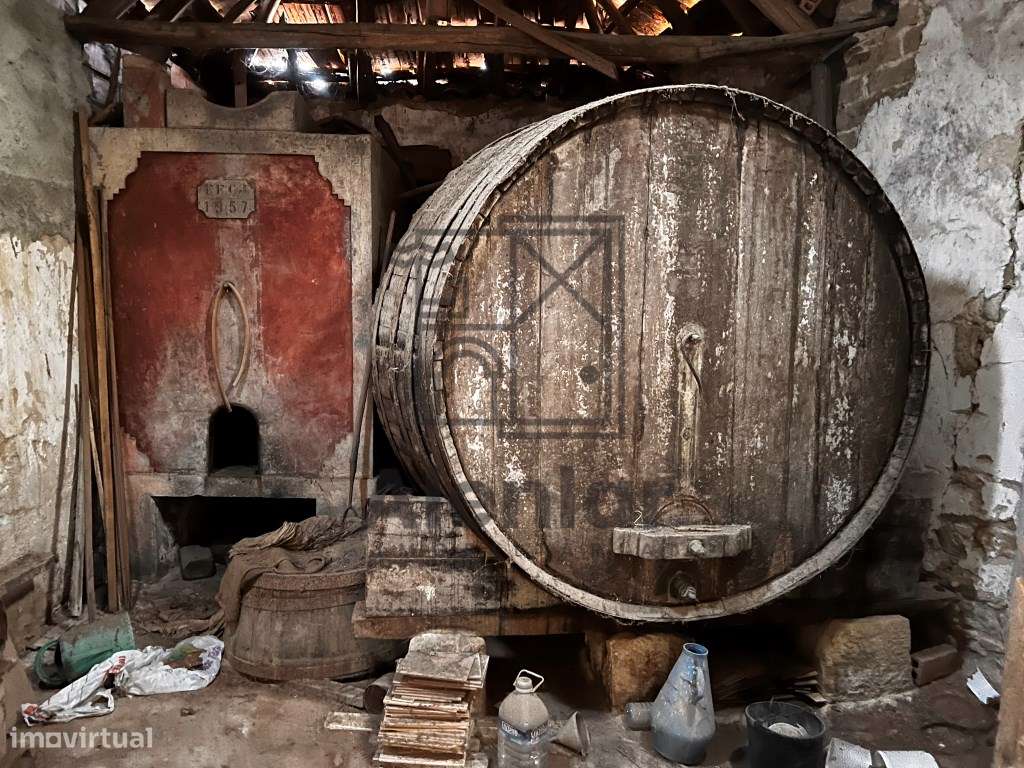 Adega para transformação em moradia-9
