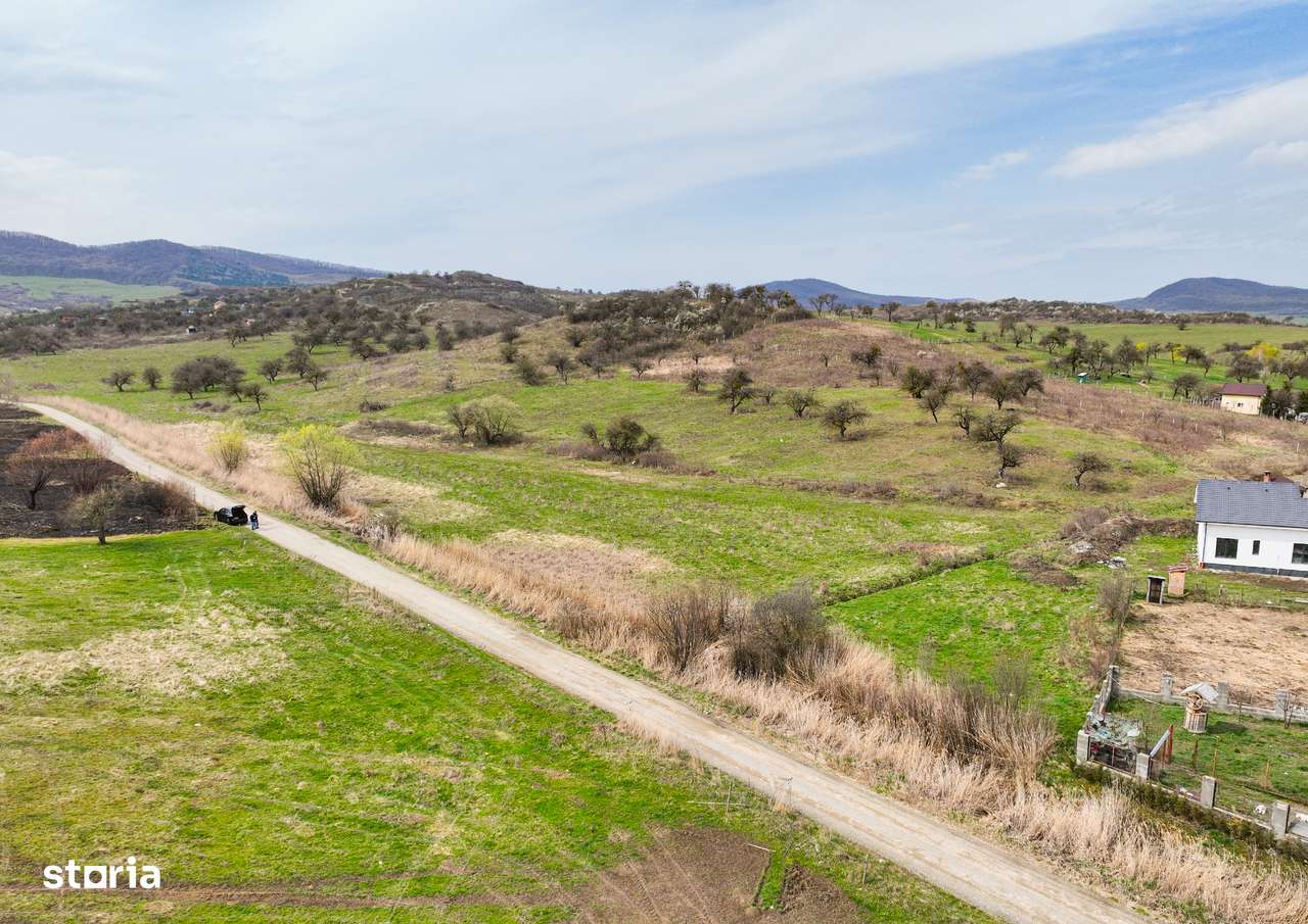 Teren parcelabil, 6.300mp, Zona Drumul Sigmirului-4