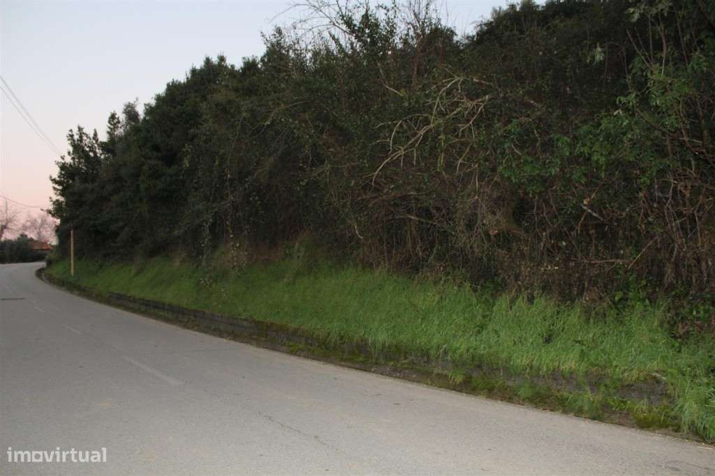 Terreno com ruina, Condeixa-a-Nova, Condeixa - Grande imagem: 5/12