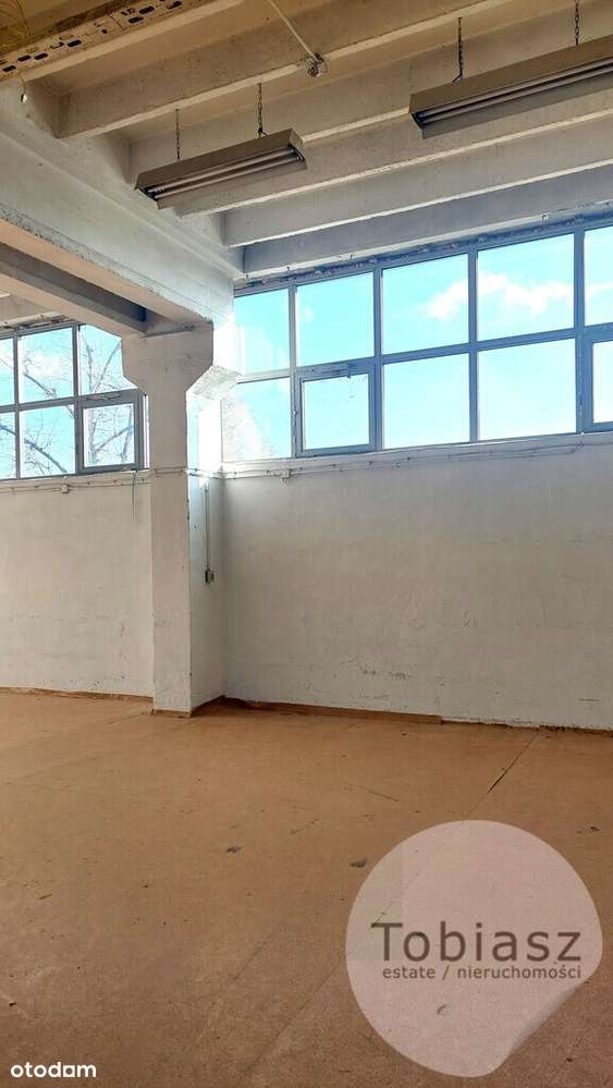 Powierzchnia magazynowa/ usługi/ lekka produkcja - Pełny obrazek: 5/13