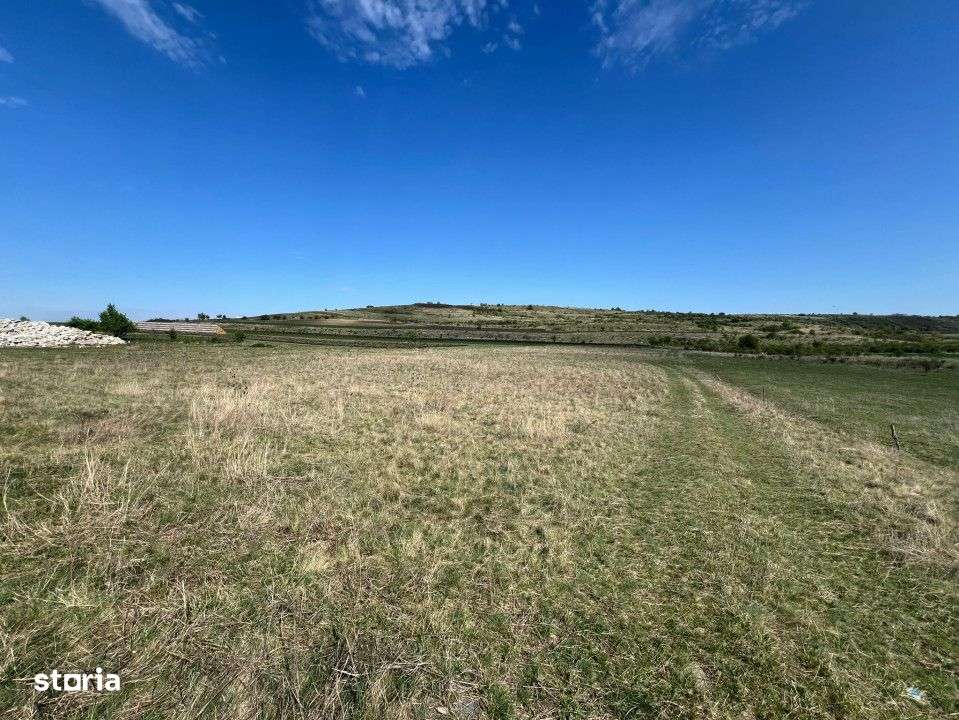 Teren extravilan de vanzare, 5800 mp, zona Chinteni - Imagine principală: 1/2