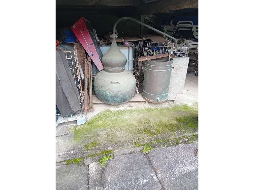 Quinta em Vila Nova de Famalicão - Gondifelos | 6.000 m² de Terreno...-46