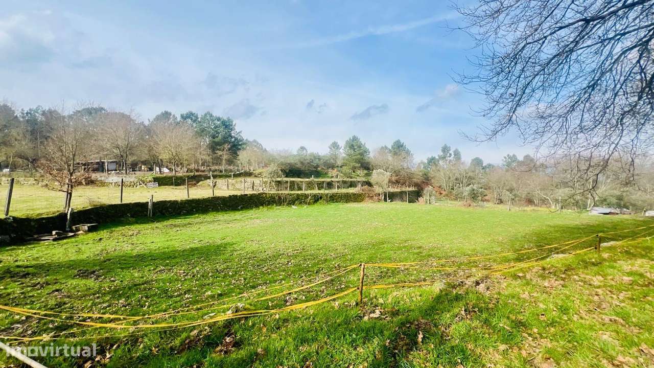Encantador Terreno Rústico em Viseu com Poço - Grande imagem: 3/14