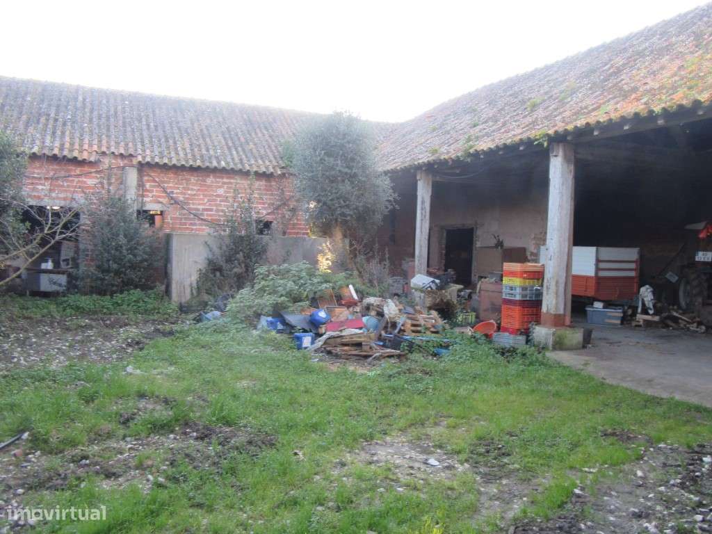 Casa antiga para recuperar em Carvide - Leiria - Grande imagem: 4/32