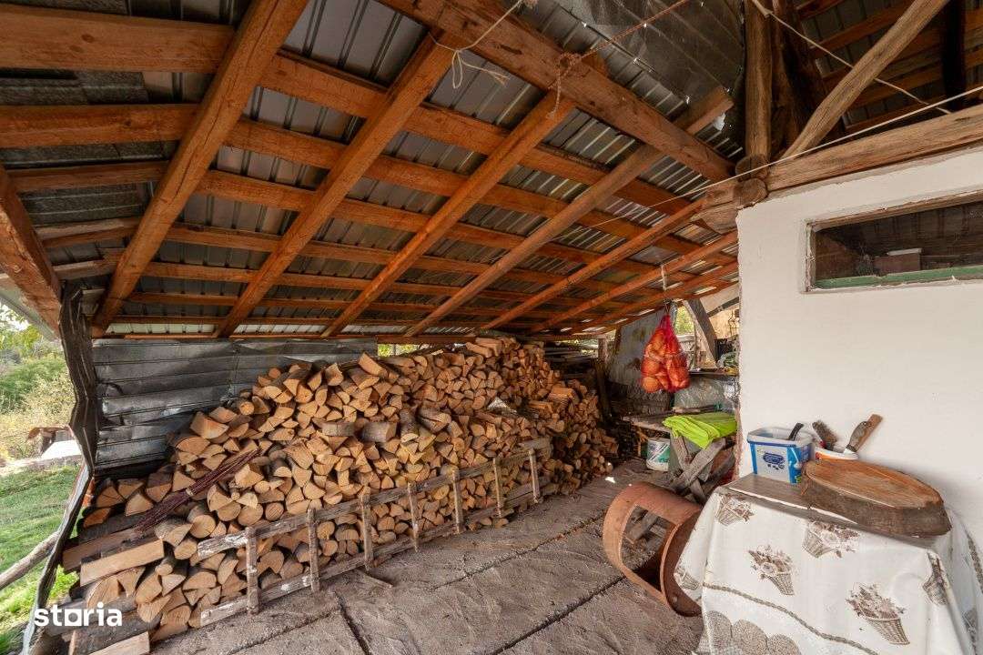 Casa P+M cu teren 2788 mp COCU -RACHITELE ARGES-12