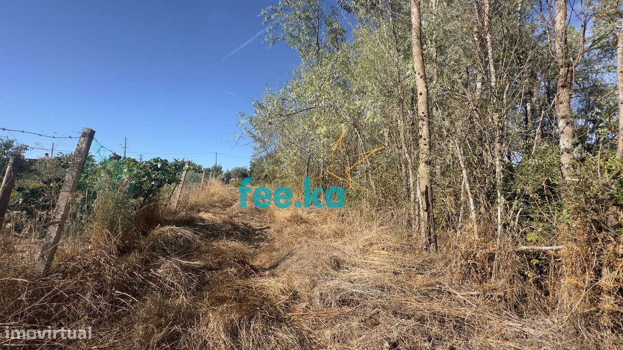 Terreno em Ladoeiro-31