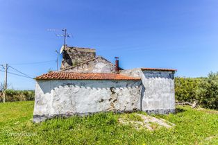 Terreno de 2.920 m2 c/ Casa de 60 m2 p/ Recuperar. - Grande imagem: 4/19