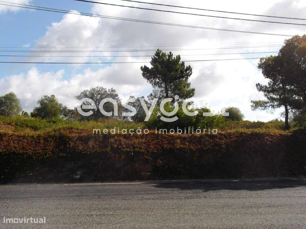 Terreno urbano perto de Tomar com 2950m2 para construção de moradia - Grande imagem: 5/14