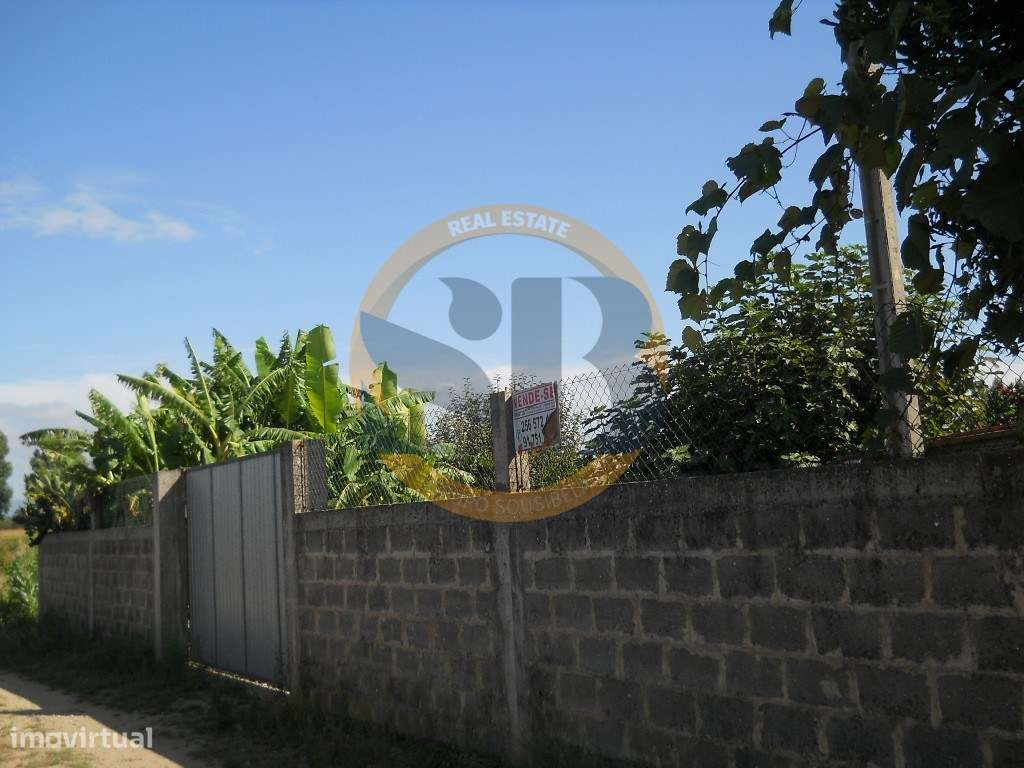 Terreno Ovar - Grande imagem: 4/18