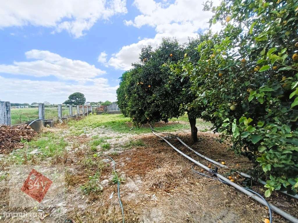 Quintinha com Moradia Térrea em Santo Isidro de Pegões!-14