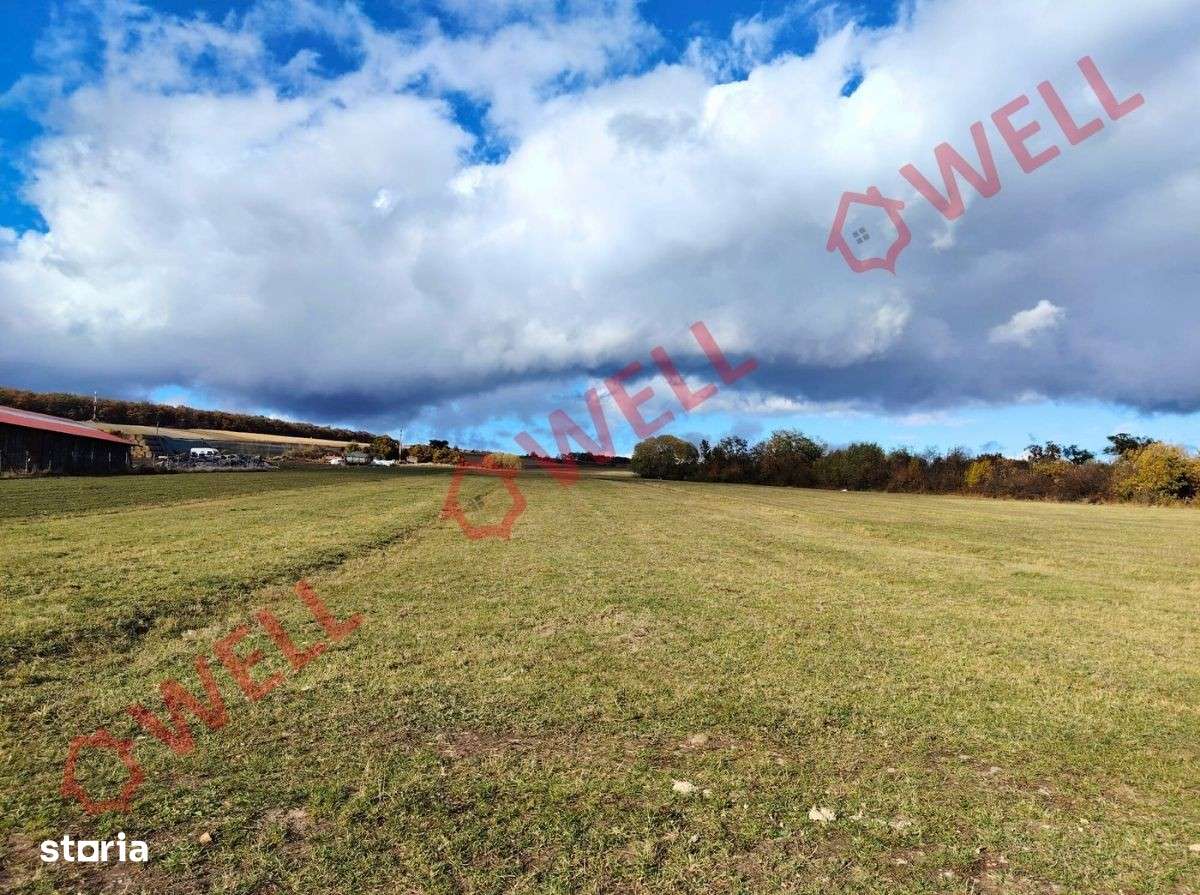 Teren intravilan de vânzare în Valea Crișului! - Imagine principală: 4/5