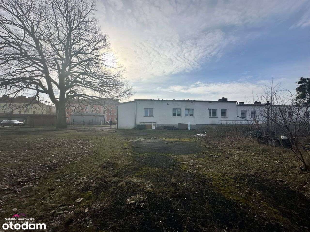 budynek handlowo-usługowy*GRUPA*duży potencjał - Pełny obrazek: 4/11