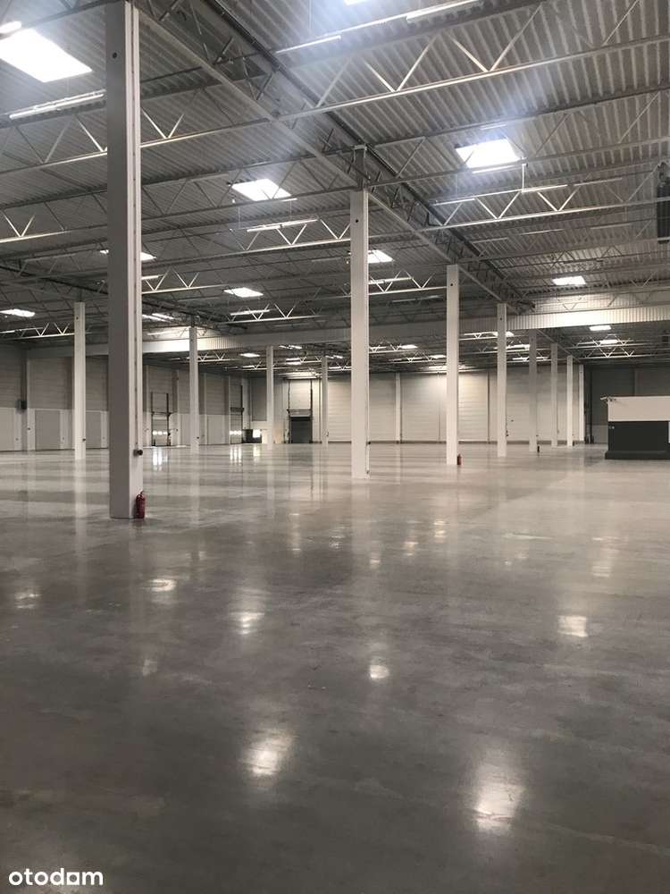 Hala magazynowa na wynajem, Komorniki - Pełny obrazek: 4/6