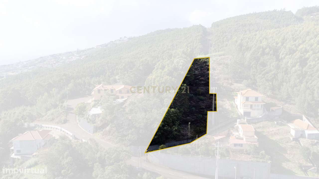 Terreno de 1300 m² – Santa Cruz - Grande imagem: 4/26