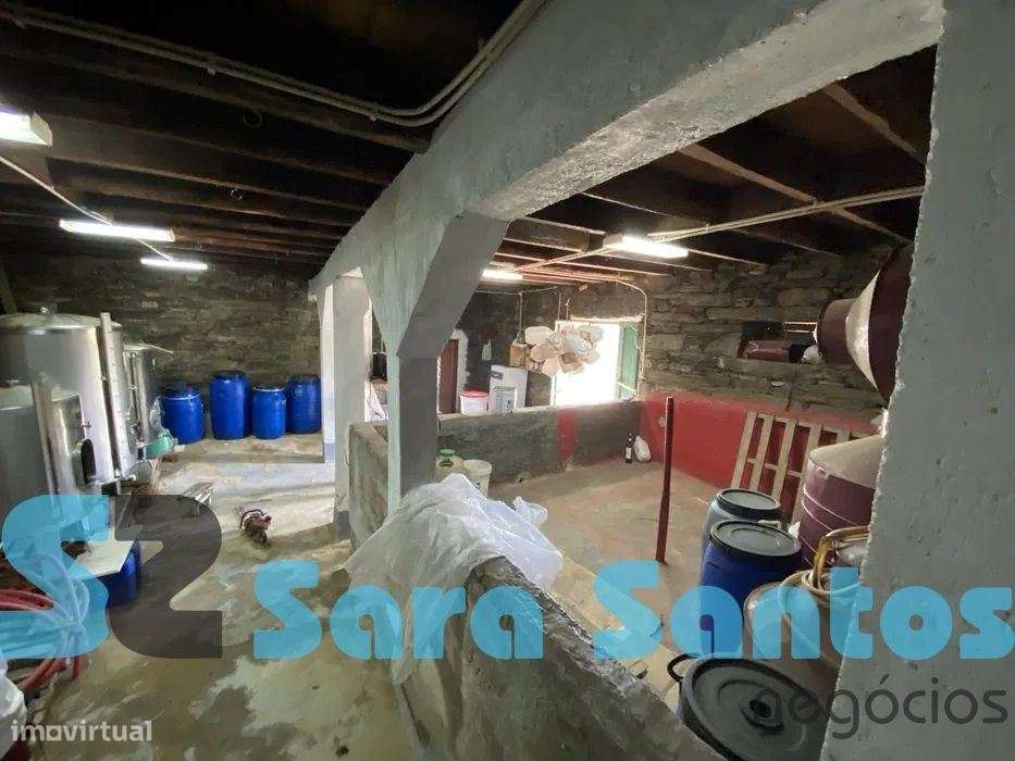 Quinta Alto Douro com Vinhas- São João Pesqueira - Grande imagem: 3/10