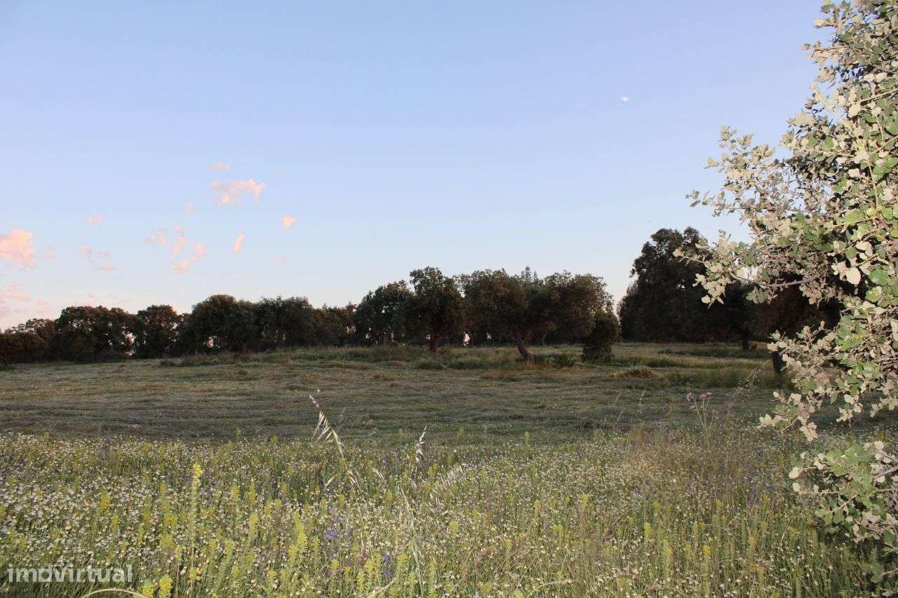Apartamento T2 situado em pleno campo alentejano.A 10 km d Estremoz. - Grande imagem: 5/33