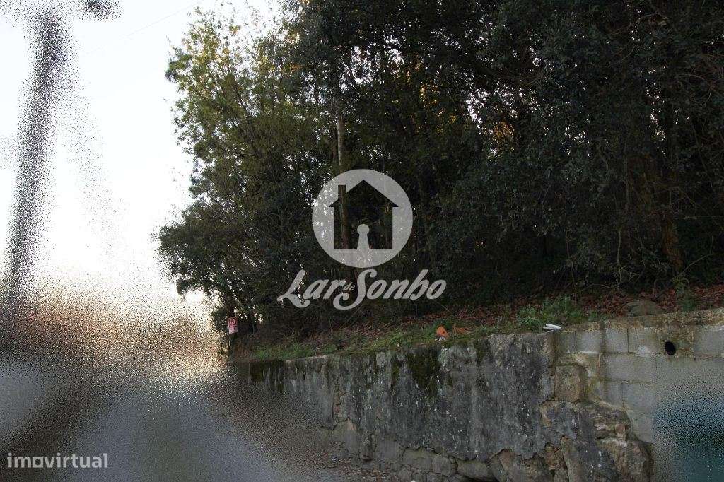 Terreno p/ construção c/ 4000m2 - Touguinha - Grande imagem: 2/2