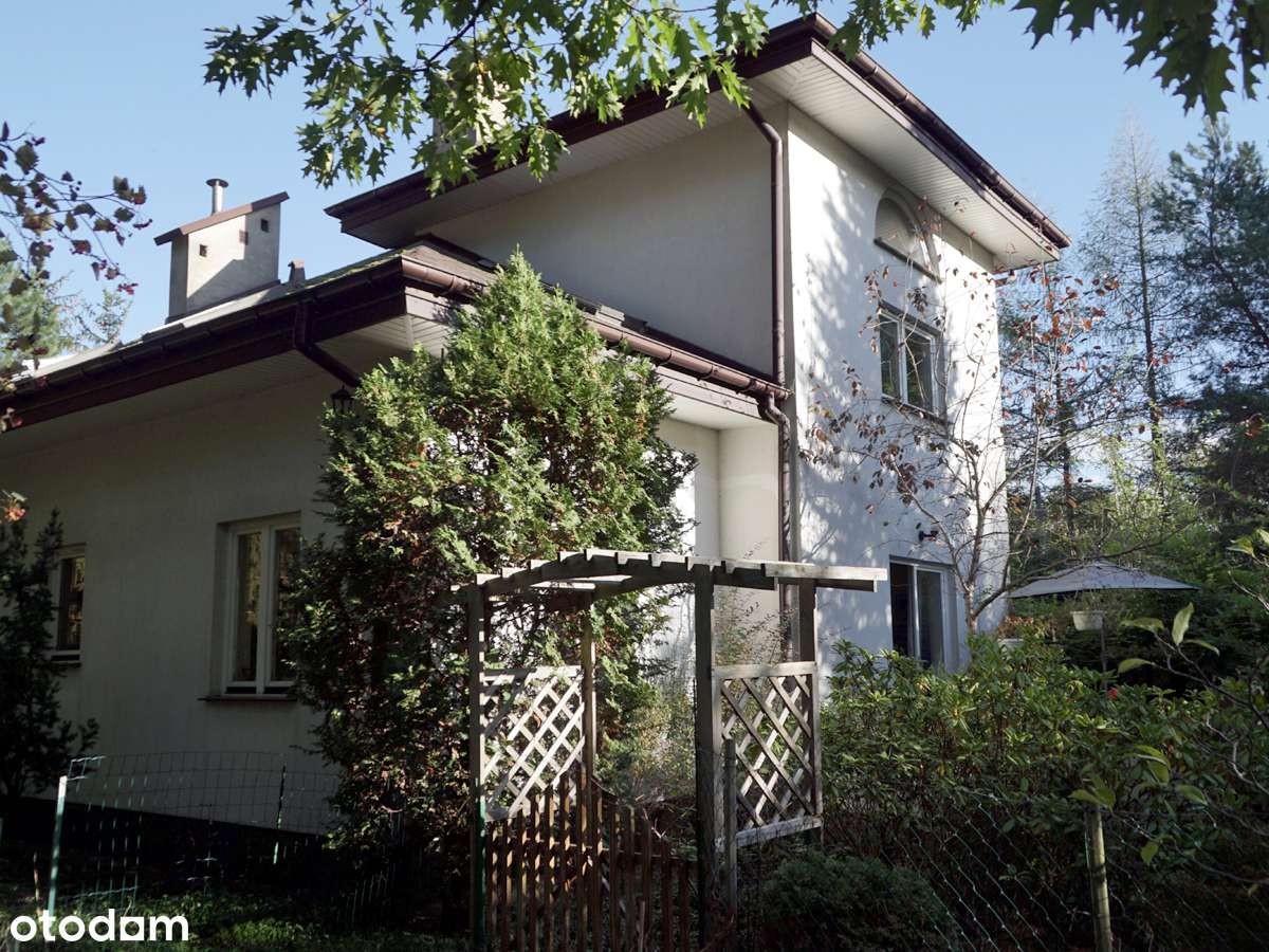 Blisko Zalesia Górnego, okolice Lasu Chojnowskiego - Pełny obrazek: 1/10