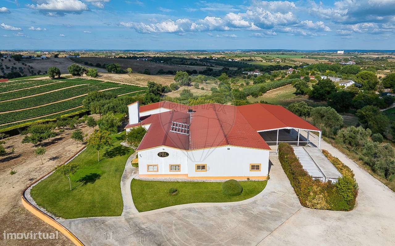 Industrial T0 para venda - Grande imagem: 5/45