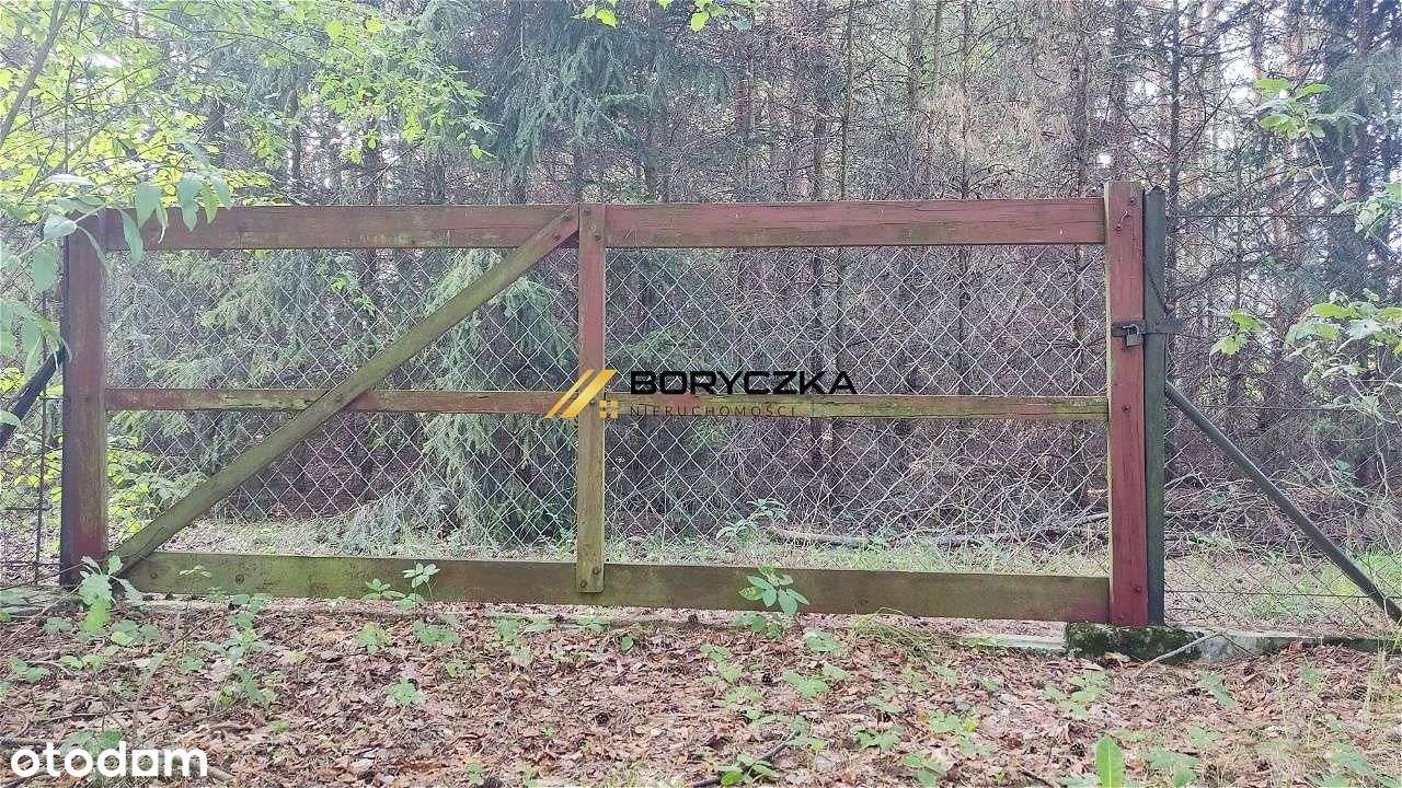 Dom Wał-Ruda, z własnym lasem; 0,68 ha.-10