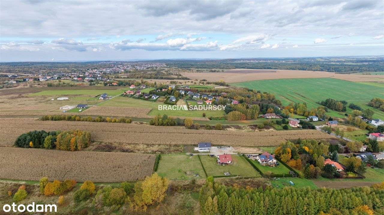 Działka, 19 600 m², Nowa Góra-1