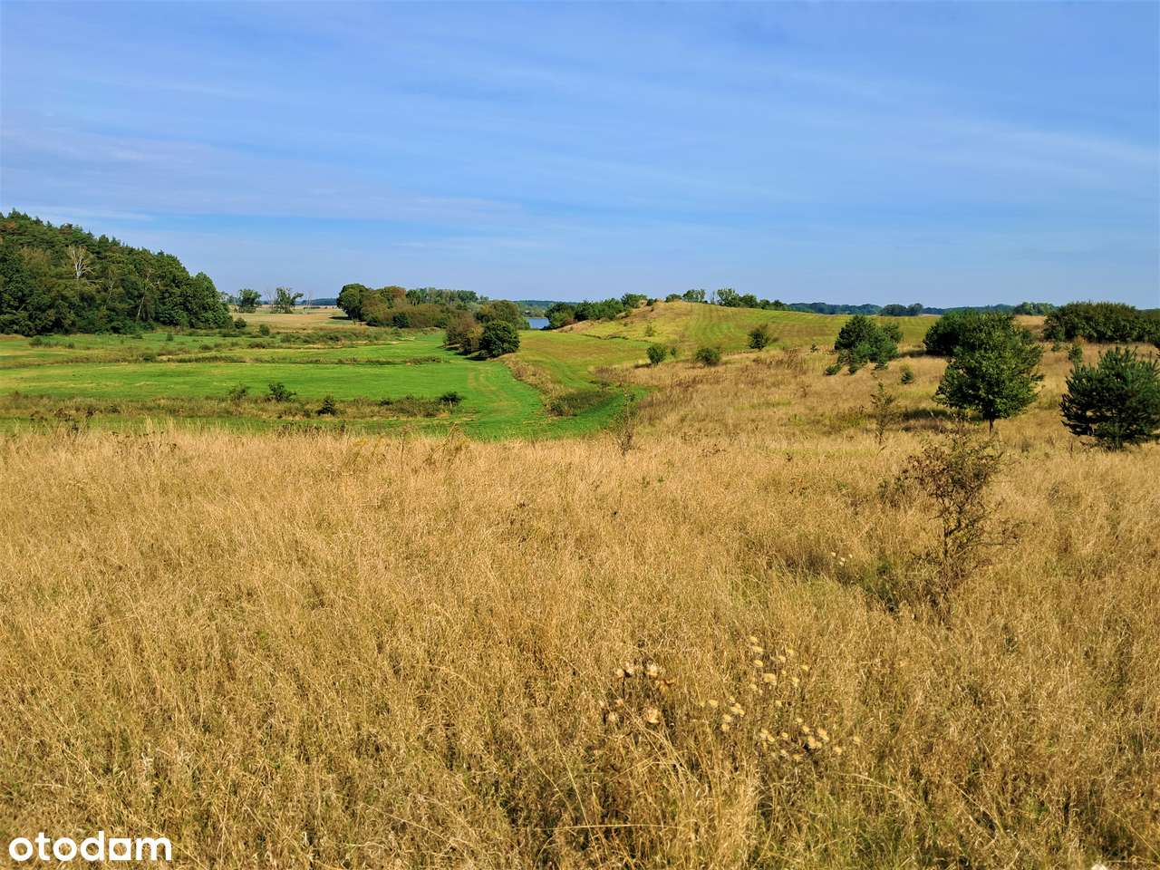 Na sprzedaż 5 działek budowlanych w Ławach z pięknym widokiem-3