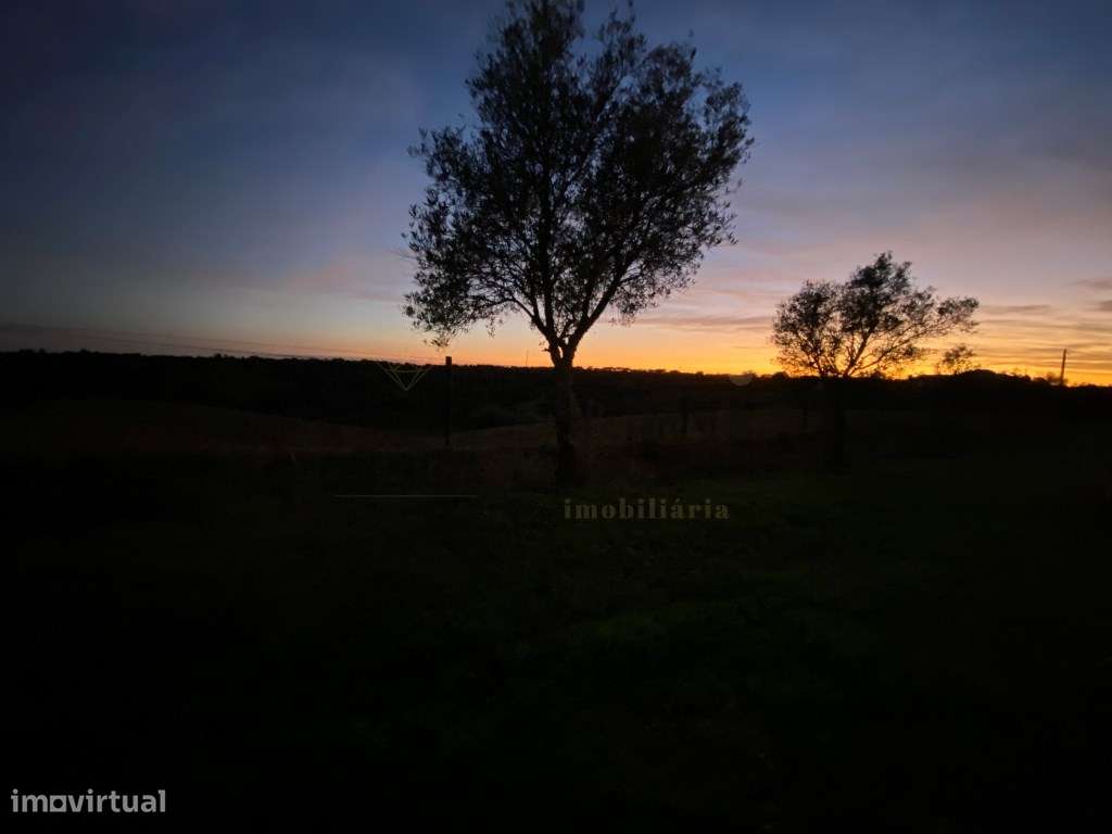 QUINTA T4, SERPA com uma vista fantástica , com duas barragens ...-9