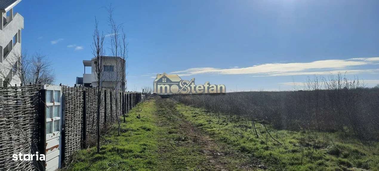 Teren Intravilan Vama Veche | 7.495 mp | Oportunitate Investiție-5