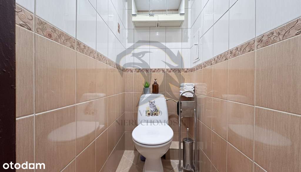 Rzuć kostką i przejmij to pole-6