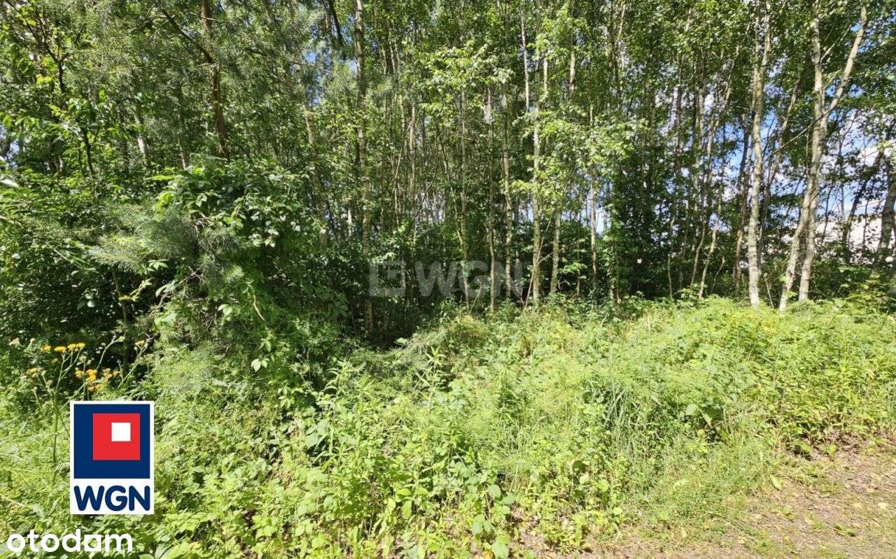 Działka, 1 112 m², Żarki - Pełny obrazek: 5/7