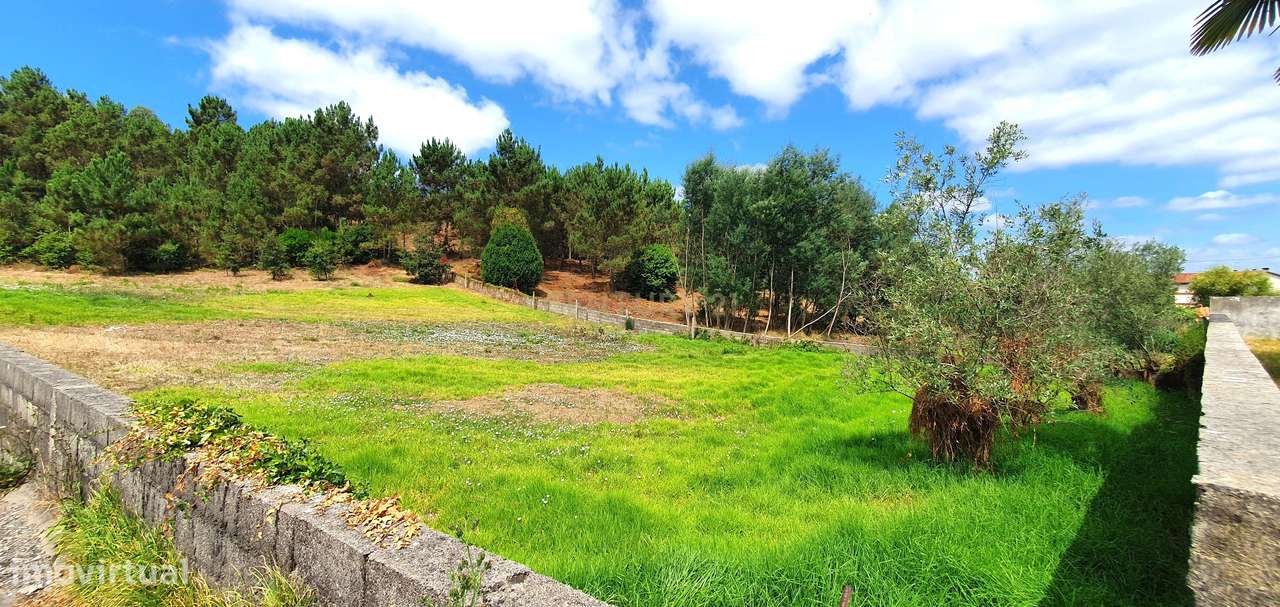 Terreno 5747 m2 I Fala - São Martinho do Bispo I Viabilidade Construçã-7