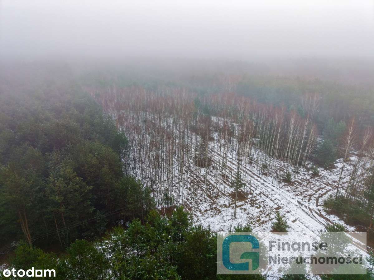 Działki budowlane po 1500 m² – Dąbrówka-13