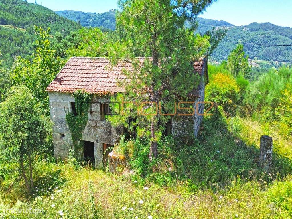 Quinta isolada - Amarante-31